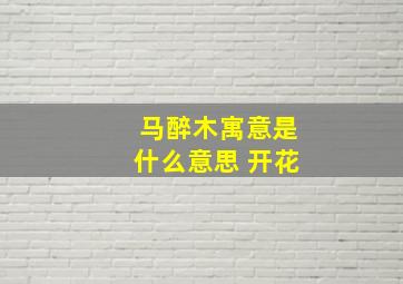 马醉木寓意是什么意思 开花